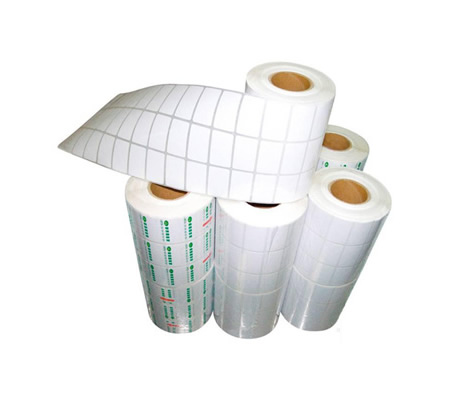 �������ɽ���Ͳ����PET