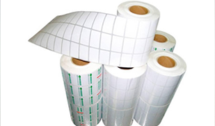 �����ǩֽ֪ʶ